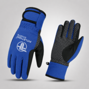 Blue Workout Gloves – Boxing Gear