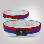 Red and Blue Striped Weightlifting Belt – Training Equipment