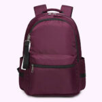 Back pack