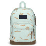 Back pack