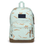 Back pack